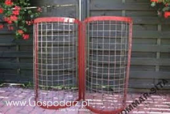 SITA DO SORTOWNIKÓW TOMMAR PRODUCENT