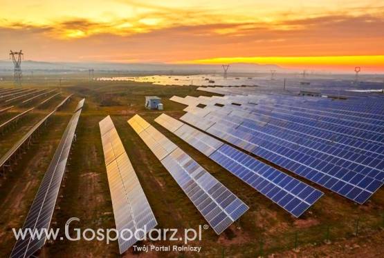 Poszukujemy gruntów pod Farmy fotowoltaiczne - zachodnia Polska