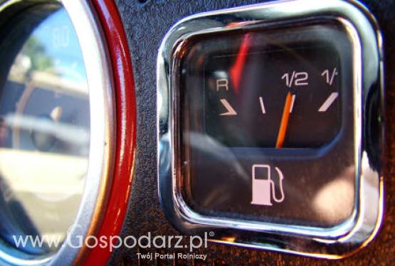 Portugalia i Hiszpania – Paliwo z chwastów?