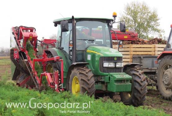 Kombajn ALINA ECO do zbioru marchwi, selera, pietruszki