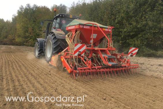 Głębosz Attila / Attila Hydro Maschio Gaspardo