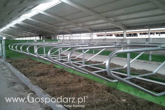 Modernizacja obór