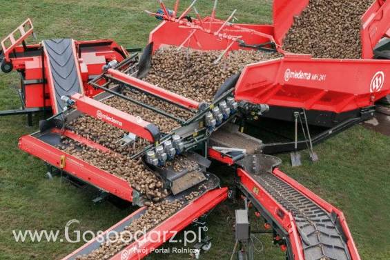 Kosz przyjęciowy MH 241 DEWULF