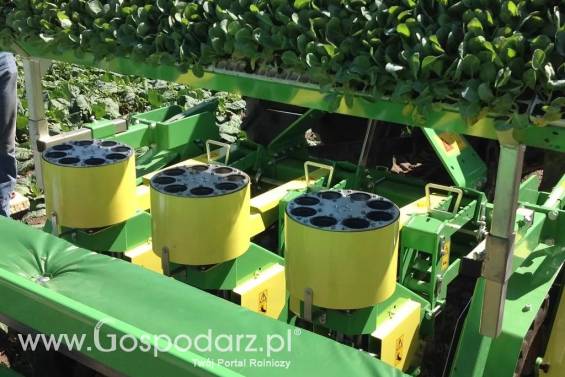 Maszyna do przesadzania Practica Midi HORTECH