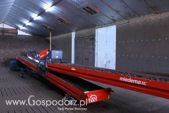 Podwójny przenośnik MC 1780 DEWULF