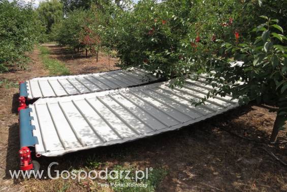 Agregat otrząsająco-czyszczący MAJA AUTOMATIC model TS