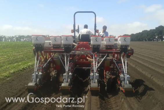 Siewnik do warzyw SNT 3-290 4TR