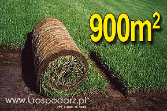 Trawa z rolki, trawa rolowana KRAJOBRAZOWA 900m2uniwersalna trawa w rolce, darń w rolce