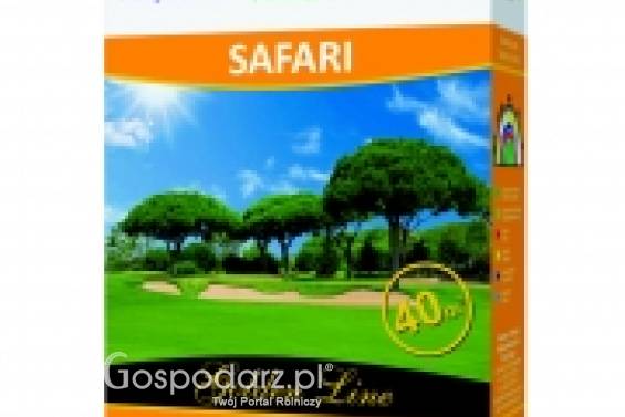 Trawa, nasiona trawy SAFARI GOLDEN LINE masa: 1kg, mieszanka trawy na miejsca nasłonecznione, Golden Line Rolimpex