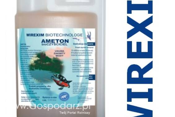 Płyn do usuwania zakwitów wody WIREXIM BIOTECHNOLOGIE Ameton-5 pojemność: 5 l., usuwanie zakwitów wody
