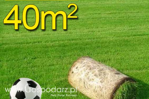 Trawa z rolki, trawa rolowana SPORTOWA 40m2trawa z rolki na boiska sportowe, darń w rolce, DARMOWA WYSYŁKA