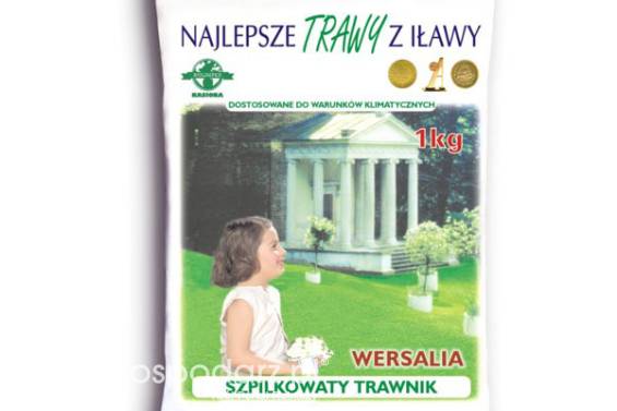 Trawa, nasiona trawy WERSALIA masa: 25kg, mieszanka gazonowa na gleby lekki RolimpexDARMOWA WYSYŁKA !!!