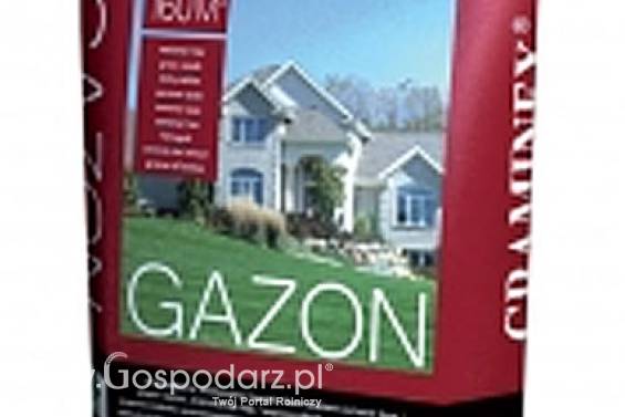 Trawa, nasiona trawy GAZON DEKORACYJNY masa: 10kg, mrozoodporna, ekskluzywny trawnik