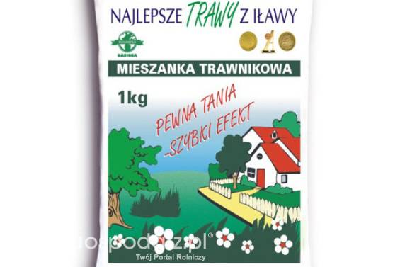 Trawa, nasiona trawy TRAWNIKOWA folia masa: 1kg, mieszanka traw szybki efekt Rolimpex