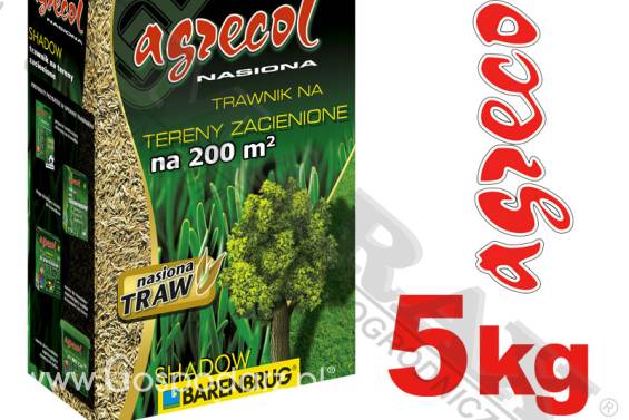 Trawa, nasiona trawy BARENBRUG / AGRECOL SHADOW masa: 5 kg, na 200m2,  mieszanka traw na miejsca zacienione