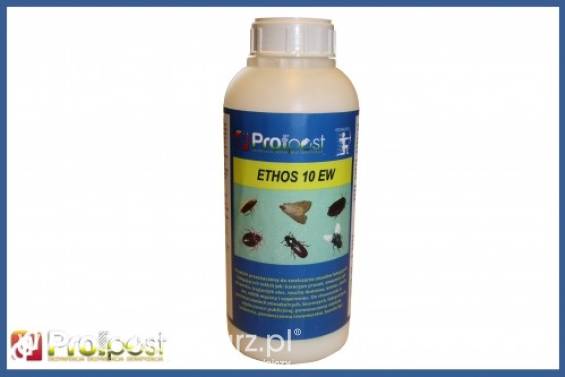Ethos10 EW