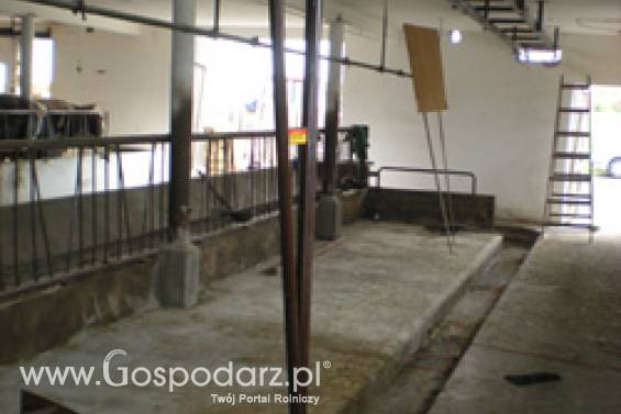 Zgarniacz obornika H-623