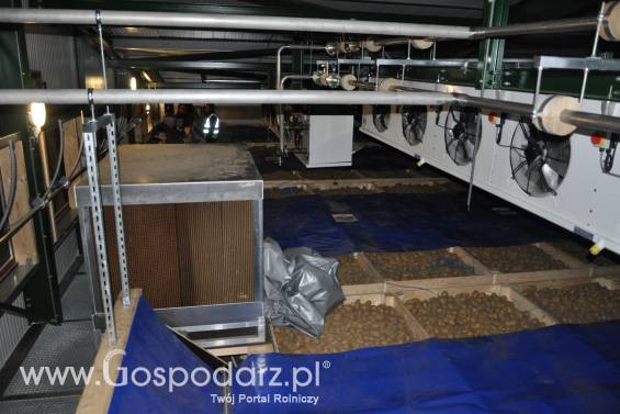System ssący