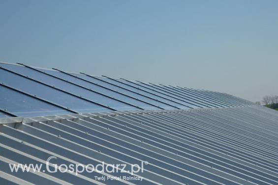 ŚWIETLIKI PŁASKIE NA PODSTAWACH