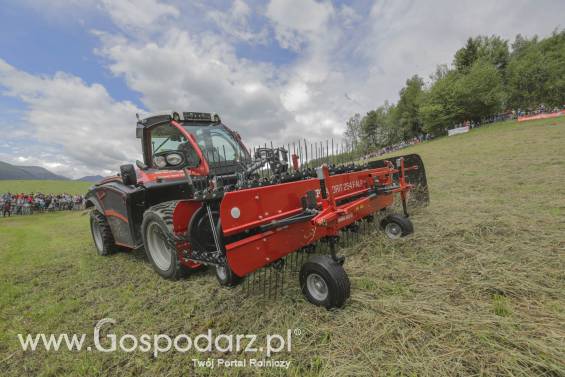 Przetrząsacz taśmowy SIP FAVORIT 254/254 F ALP