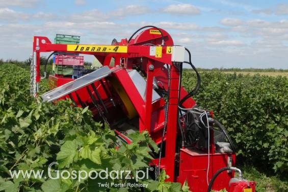 Kombajn JOANNA-4 do zbioru owoców