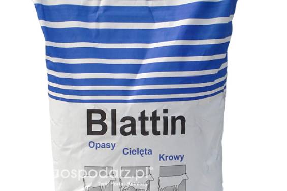 Blattin Corn Mix Mieszanka paszowa pełnoporcjowa dla cieląt z całym ziarnem kukurydzy