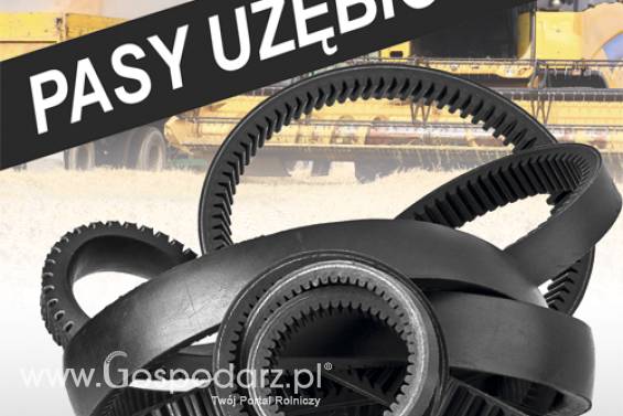 Pasy klinowe uzębione