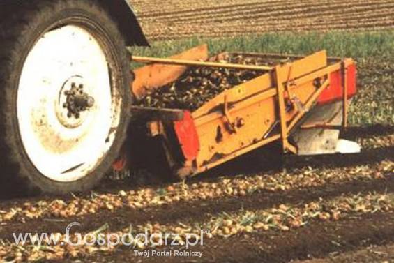 Łyżka do cebuli SU1M (1,50) SAMON