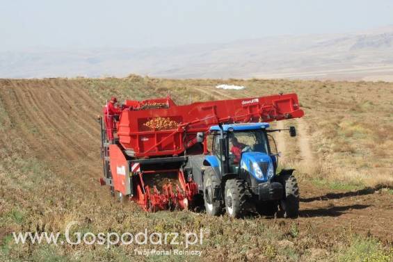 Kombajn do ziemniaków RJA2060 DEWULF