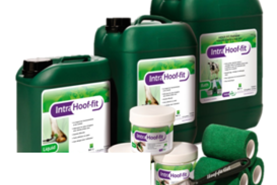 Środki do pielęgnacji racic - płyn Intra Hoof-Fit Kąpiel