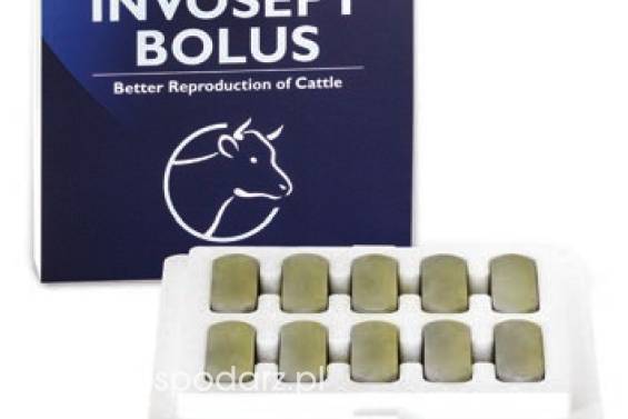Bolus ułatwiający poród i zapobiegający zatrzymaniu łożyska Invosept bolus