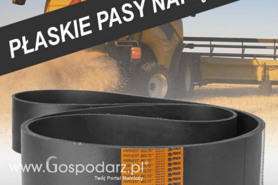 Płaskie pasy napędowe