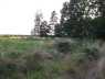 Działki rolne 220000 m2