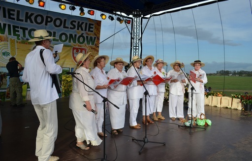 Wielkopolskie Święto Plonów Michałków 2013