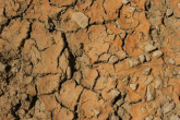 Wystąpienie warunków suszy w Polsce