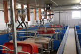 System monitoringu wizyjnego nowoscią firmy TerraExim-Agroimpex