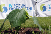 IV Forum Ekologiczne – kolejne Oxytree w ekologicznej stolicy Polski