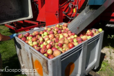 Maszyny do zbioru jabłek przemysłowych