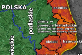 Obszar zagrożenia afrykańskim pomorem świń. Komunikat Głównego Lekarza Weterynarii