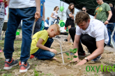 Pokazowa Plantacja Oxytree rośnie w siłę! - Relacja z Pikniku w Stoszycach