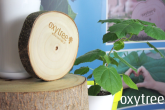 Oxytree na AGRO SHOW w Bednarach już w ten weekend!