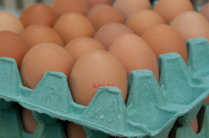 Ceny jaj w Polsce (19.10.2025)