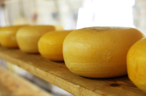 Zagraniczne ceny sera Cheddar