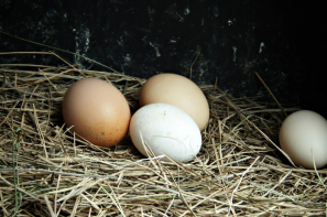 Ceny jaj w Polsce (18.01.2026)