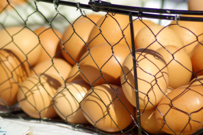 Ceny jaj w Polsce (16.03.2025)