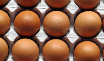 Zmiana ograniczeń eksportowych do Bośni i Hercegowiny w związku z HPAI