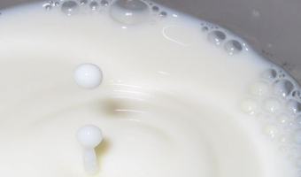 Produkcja niektórych płynnych artykułów mlecznych