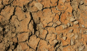 Monitoring suszy rolniczej