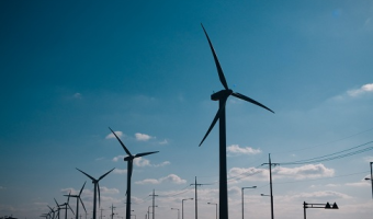 OZE w Zielonych Płucach Polski – dynamiczny wzrost energii odnawialnej