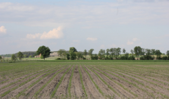 Dzierżawa gruntów rolnych priorytetem